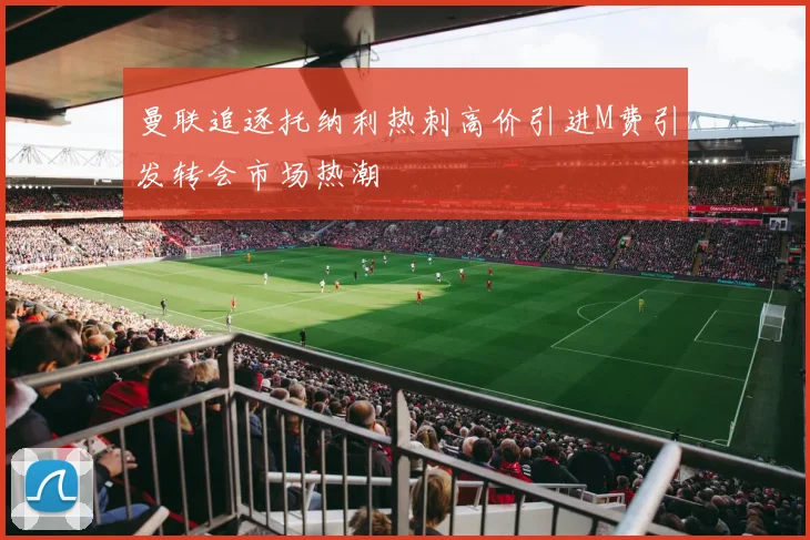 曼联追逐托纳利热刺高价引进M费引发转会市场热潮